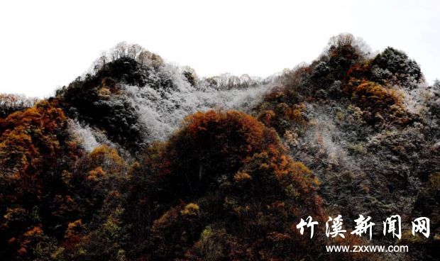 QQ图片20211109144031
