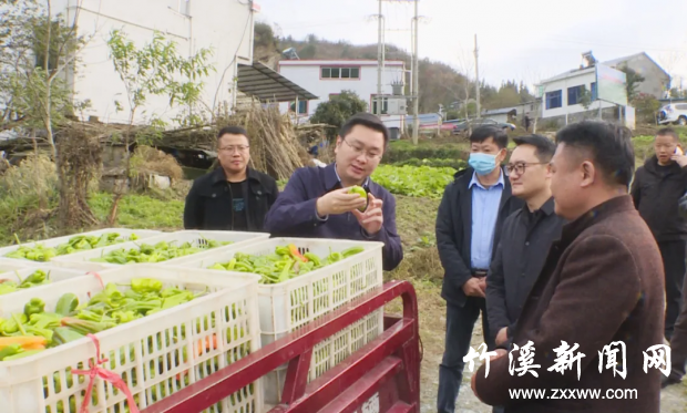 微信图片_20211115094451