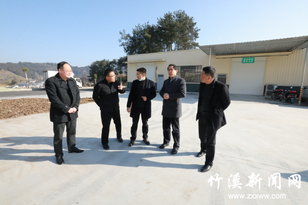图片5