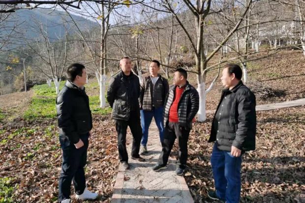 微信图片_20211222140531