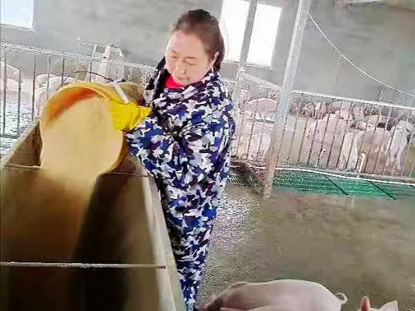 微信图片_20220120031639