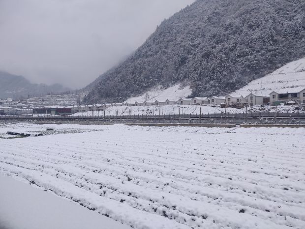 微信图片_20220128112954