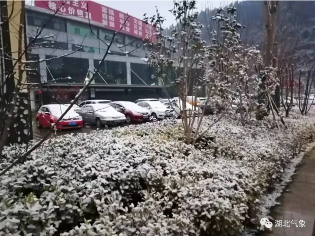 微信截图_20220206174503