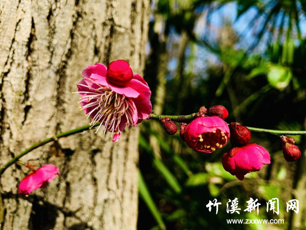 图片8