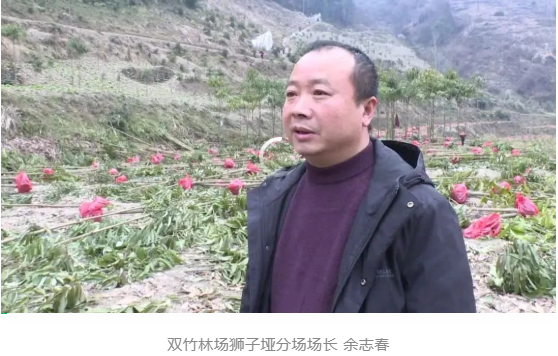 微信截图_20220301085937