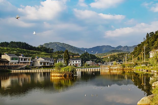 莲花湖畔白鹭飞-4