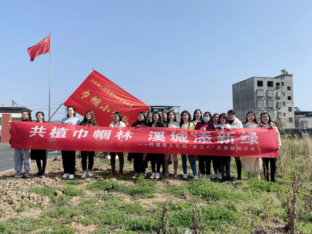 图片4