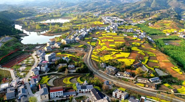 龙湖春早+王小平+十堰市住房公积金中心+十堰市茅箭区江苏路阳光花园八号楼1003+13636245928+wxid-8upjgktuqyzj22