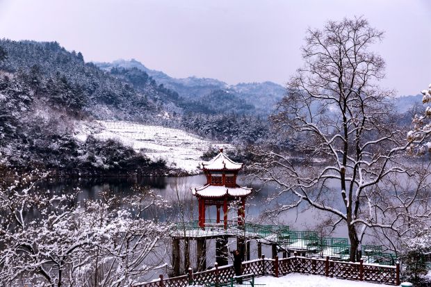 龙湖瑞雪+王小平+十堰市住房公积金中心+十堰市茅箭区江苏路阳光花园八号楼1003+13636245928+wxid-8upjgktuqyzj22