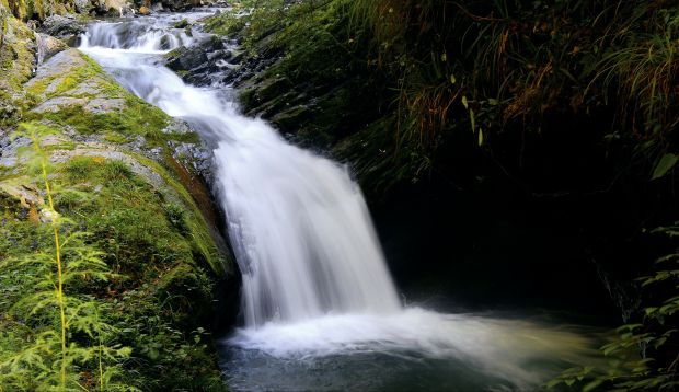物华天宝  风景如画---摄影：许世国（国家税务总局竹溪县税务局：电话号码：13707289280） (2)
