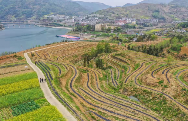 图片7