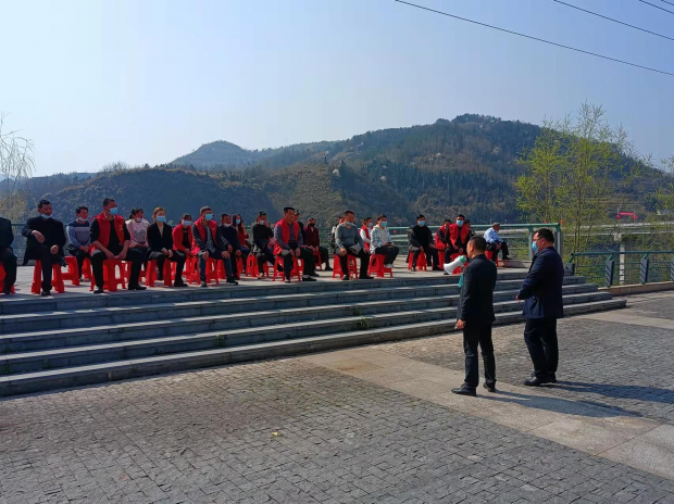 图片11