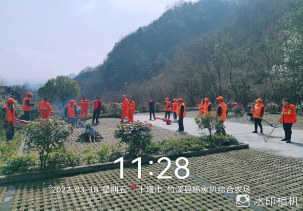 图片1