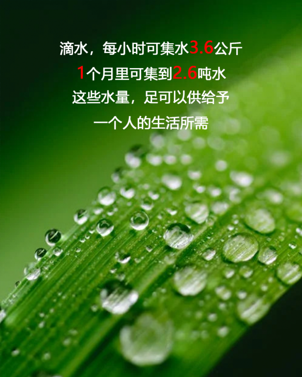 微信图片_20220322090645