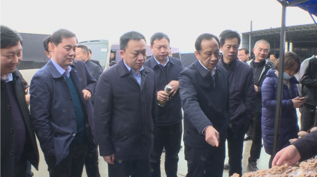 微信截图_20220323195805