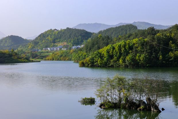 龙湖