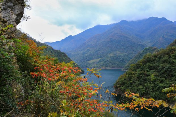 瓦沧河
