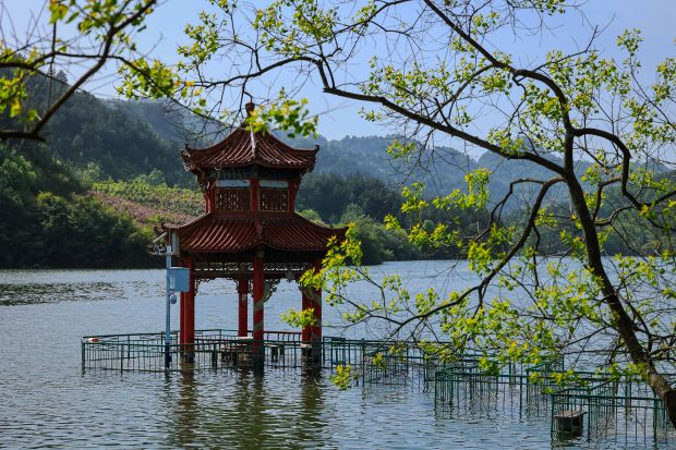 湖心亭