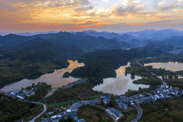 龙湖湿地公园1