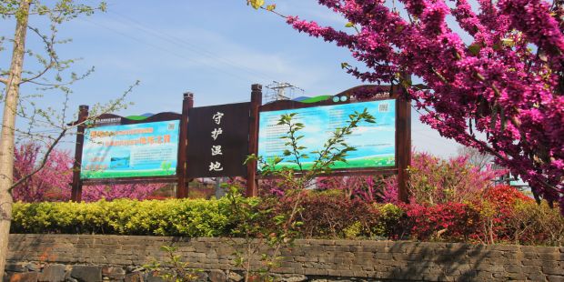 龙湖湿地公园