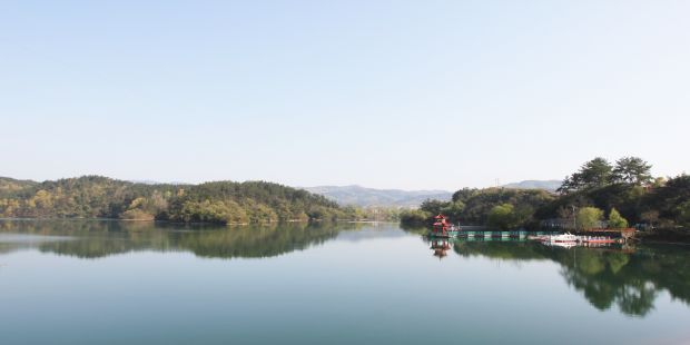 龙湖湿地景色