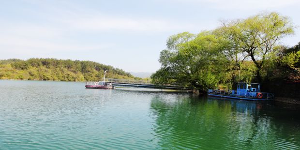 龙湖湿地清又清