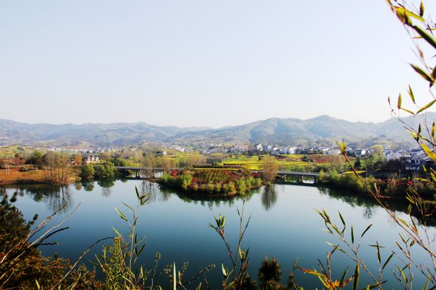 龙湖湿地美如画