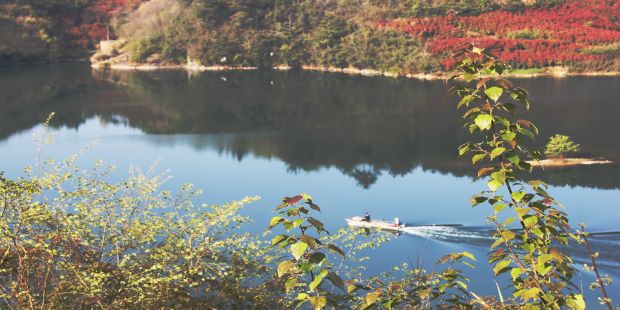 巡湖护龙湖湿地