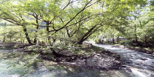 万江河水美如画