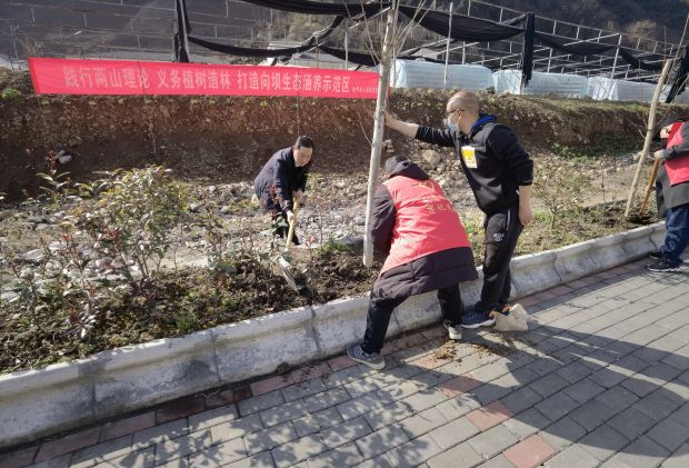 植树补绿