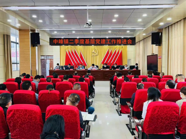 图片1