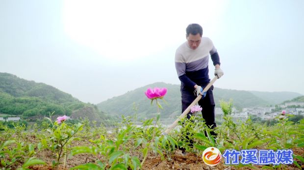 base_download_att (3)_副本