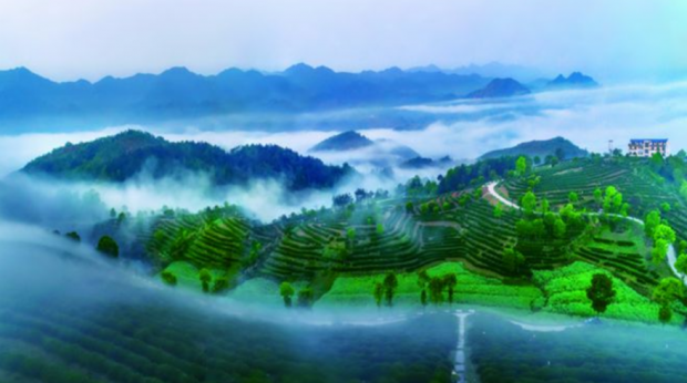 图片12
