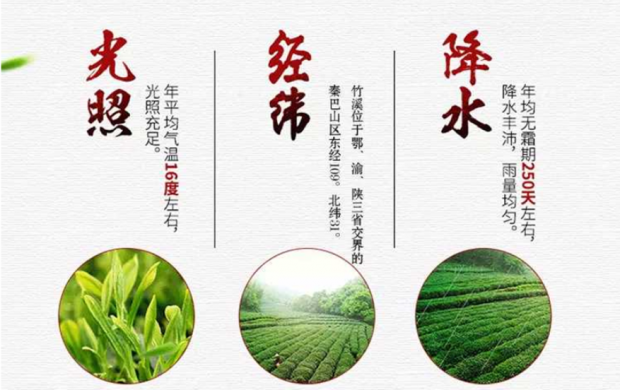 图片16