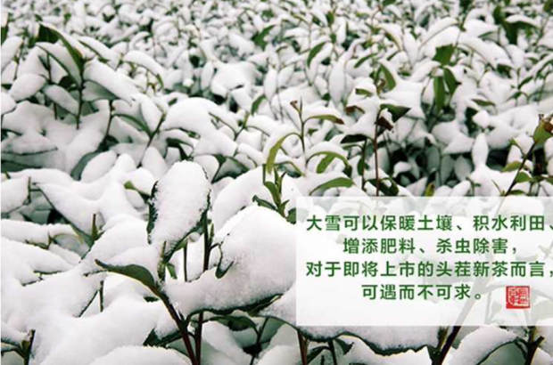 图片17