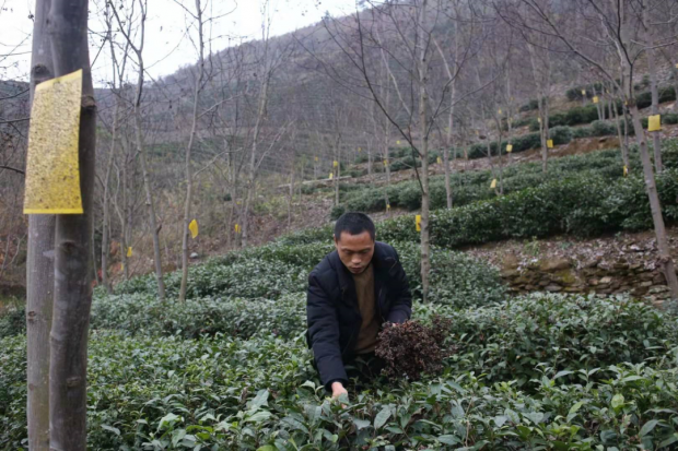 微信图片_20220503215939