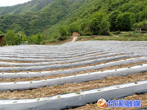 微信图片_20220506145920