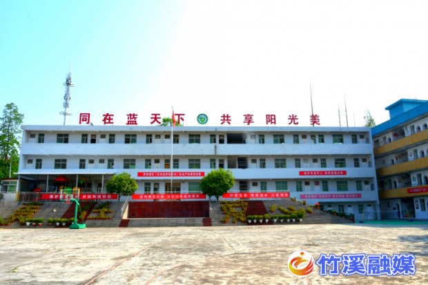 图片1