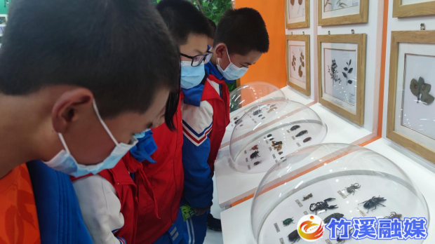 图片4