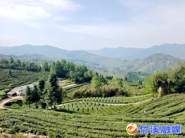 微信图片_20220518114117