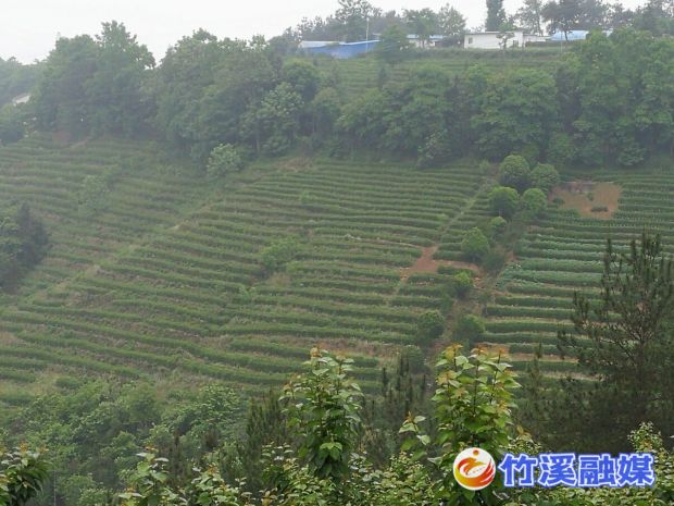 微信图片_20220524100734