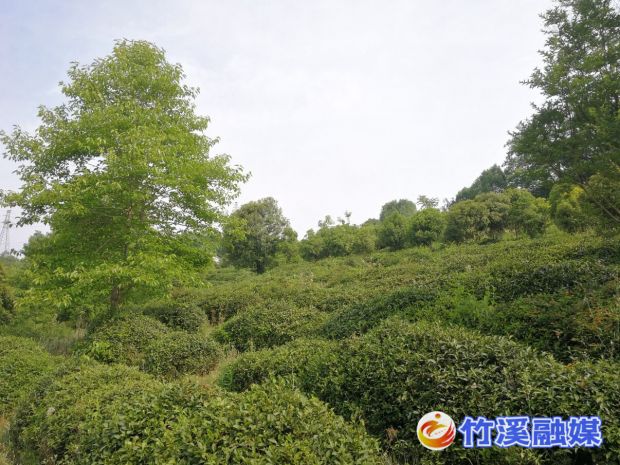 微信图片_20220524100738