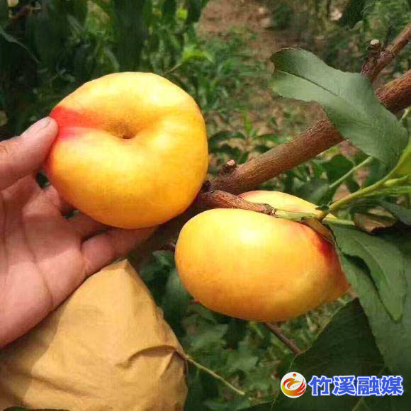 图片17_副本