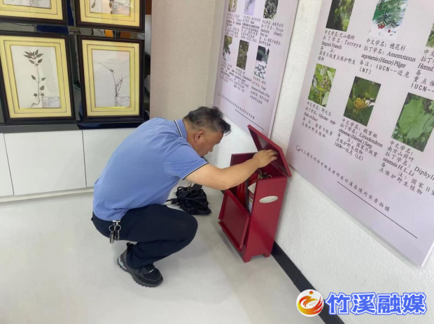 图片1