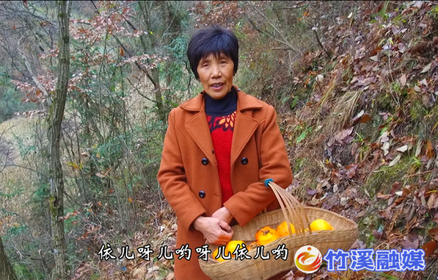 杨福凤