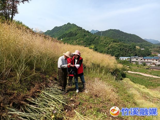 微信图片_20220614163036