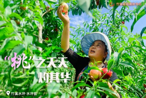 微信图片_20220705083305