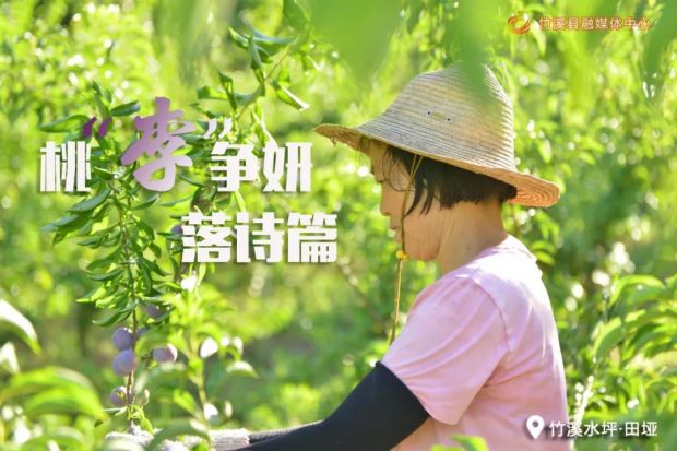 微信图片_20220705083307