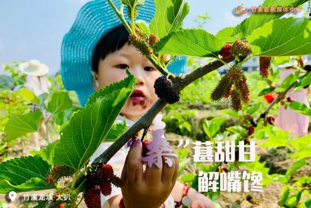 微信图片_20220705083310