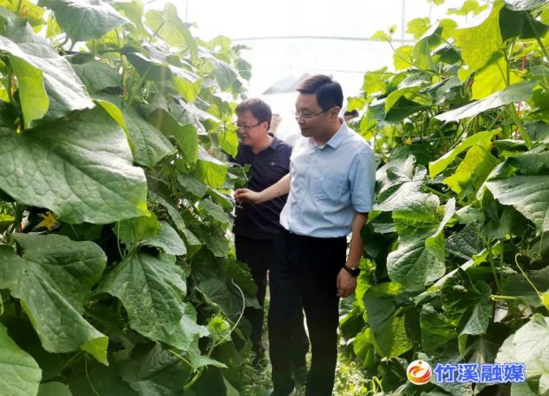 微信图片_20220705083812